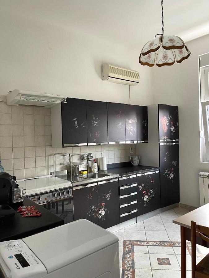 Apartman Alba Apartment Belgrad Exterior foto